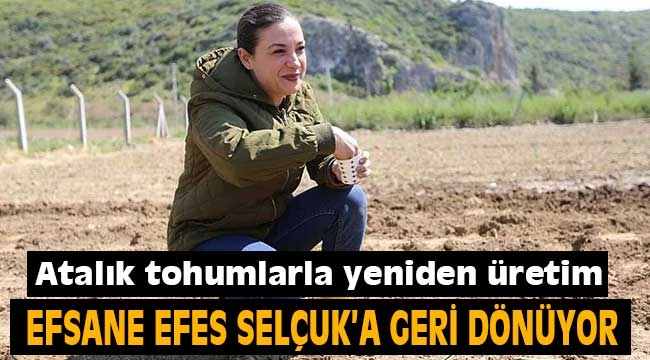 Efsane Efes Selçuk'a geri dönüyor