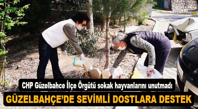 Güzelbahçe'de sevimli dostlara destek