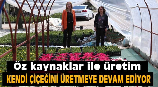 Merkezefendi Belediyesi kendi çiçeğini üretiyor 