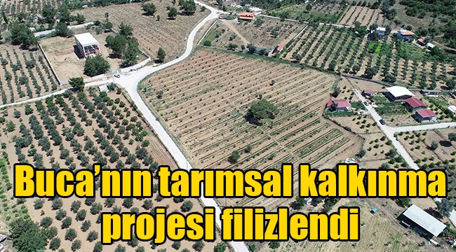 Buca'nın tarlalarından bereket fışkırıyor: 54 ton hasat bekleniyor 