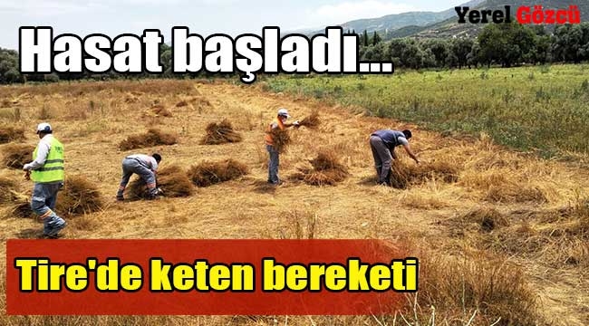 Tire'de keten bereketi