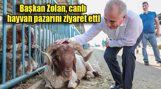 Başkan Zolan canlı hayvan pazarını ziyaret etti