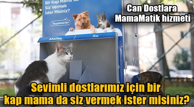 Can Dostlara MamaMatik hizmeti