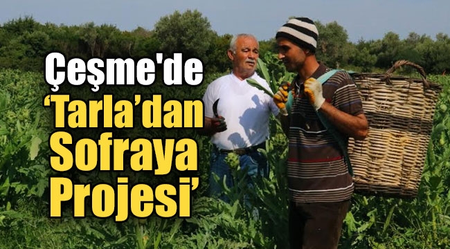 Çeşme'de 'Tarla'dan Sofraya Projesi'