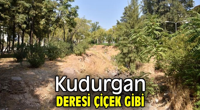 Kudurgan Deresi çiçek gibi oldu