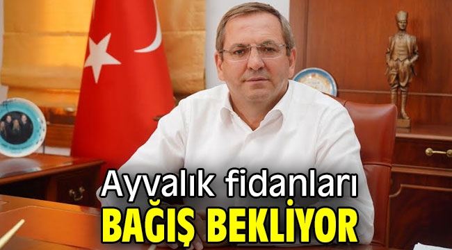 Ayvalık fidanları bağış bekliyor