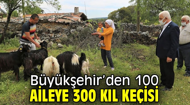 Büyükşehir'den 100 Aileye 300 Kıl Keçisi