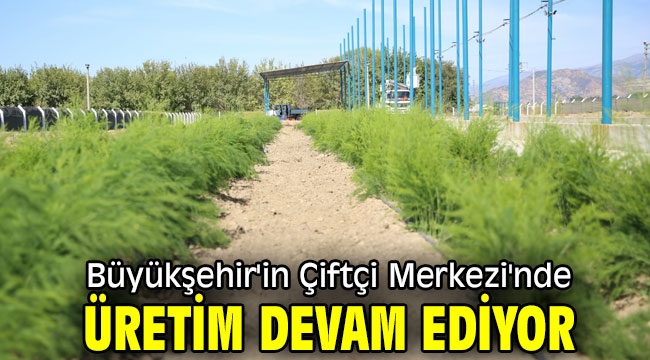 Büyükşehir'in Çiftçi Merkezi'nde Üretim Devam Ediyor 