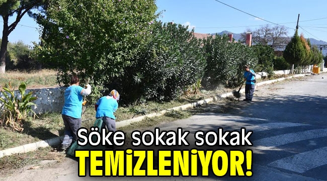 Söke sokak sokak temizleniyor!