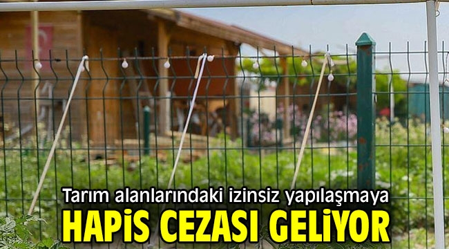 Tarım alanlarındaki izinsiz yapılaşmaya hapis cezası geliyor!