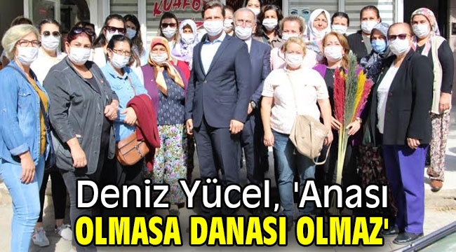 Yücel, 'Anası olmasa danası olmaz'