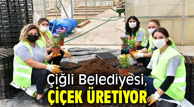 Çiğli Belediyesi, çiçek üretiyor