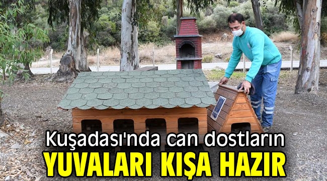 Kuşadası'nda can dostların yuvaları kışa hazır