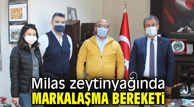 Milas zeytinyağında markalaşma bereketi 