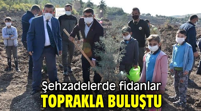 Şehzadelerde fidanlar toprakla buluştu