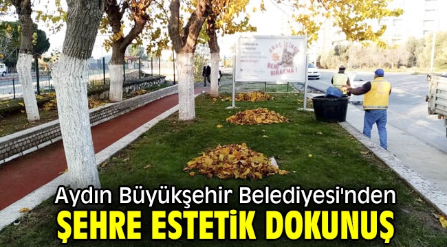 Aydın Büyükşehir Belediyesi'nden şehre estetik dokunuş