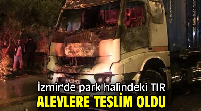 İzmir'de park halindeki TIR alevlere teslim oldu