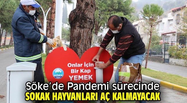 Söke'de Pandemi sürecinde sokak hayvanları aç kalmayacak