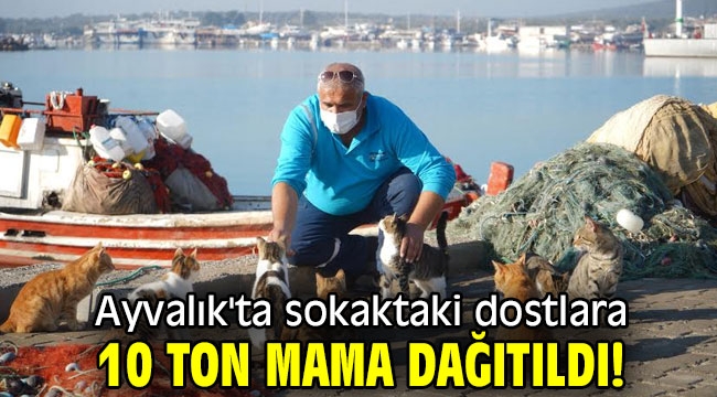 Ayvalık'ta sokaktaki dostlara 10 ton mama dağıtıldı!