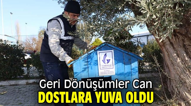 Geri Dönüşümler Can Dostlara Yuva Oldu