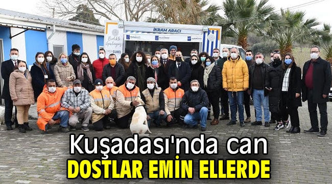 Kuşadası'nda can dostlar emin ellerde