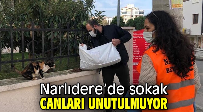 Narlıdere'de sokak canları unutulmuyor