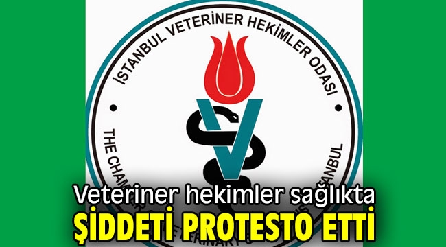 Veteriner hekimler sağlıkta şiddeti protesto etti