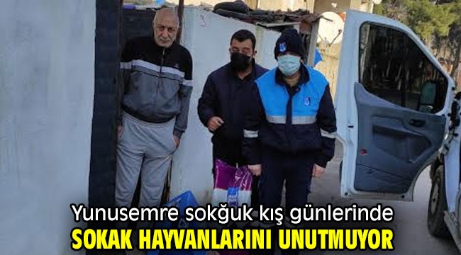 Yunusemre sokğuk kış günlerinde sokak hayvanlarını unutmuyor