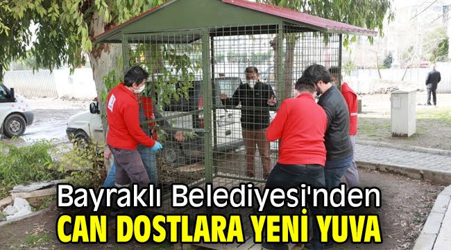 Bayraklı Belediyesi'nden can dostlara yeni yuva