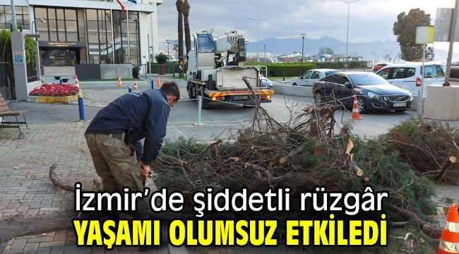 İzmir'de çatılar uçtu, ağaçlar devrildi, iskeleler hasar gördü