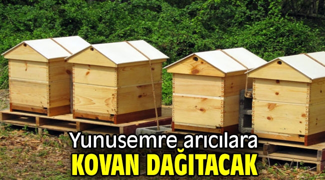  Yunusemre arıcılara kovan dağıtacak