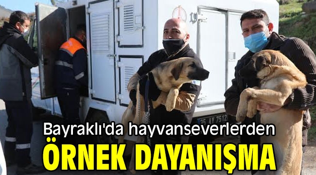 Bayraklı'da hayvanseverlerden örnek dayanışma