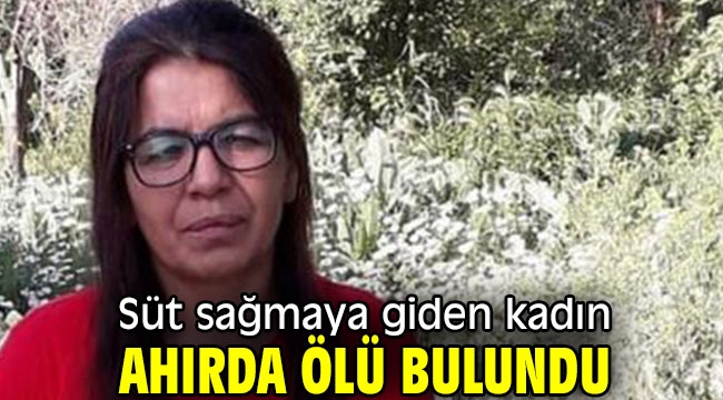 Süt sağmaya giden kadın ahırda ölü bulundu