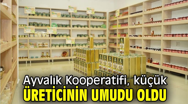 Ayvalık Kooperatifi, küçük üreticinin umudu oldu