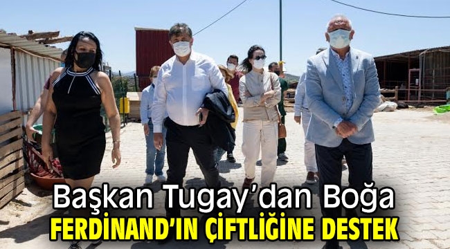 Başkan Tugay'dan Boğa Ferdinand'ın çiftliğine destek 