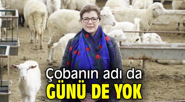 Çobanın adı da günü de yok