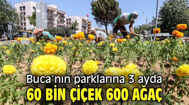 Buca'nın parklarına 3 ayda 60 bin çiçek 600 ağaç