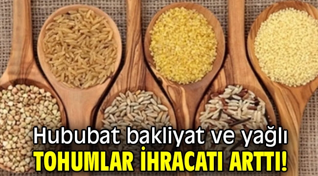 Hububat bakliyat ve yağlı tohumlar ihracatı arttı!