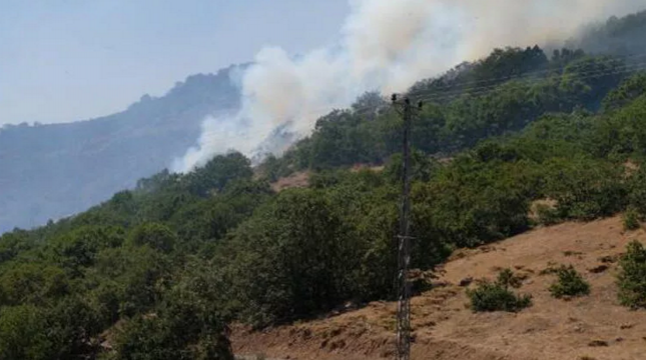 Tunceli ve Bingöl'deki orman yangınlarına müdahalelerimiz devam ediyor