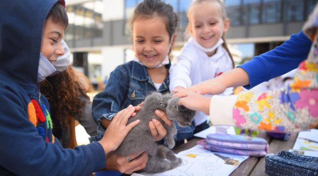 "Can dostlarımızın yaşam hakkını savunuyoruz"