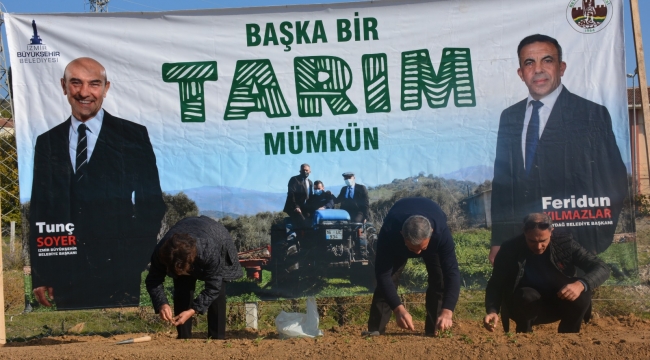 Beydağ Belediyesi salep fidelerinin ekimini gerçekleştirildi