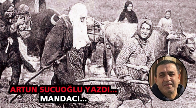 Mandacı...