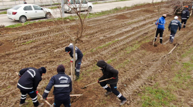 Yunusemre Muradiye'yi yeşillendiriyor