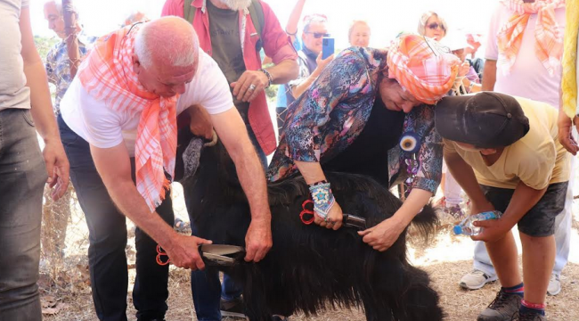 Karaburun dağlarında "Kırkım" coşkusu