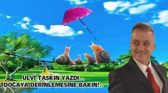 Doğaya derinlemesine bakın!..