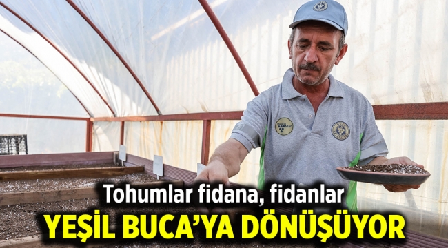 Tohumlar fidana, fidanlar yeşil Buca'ya dönüşüyor