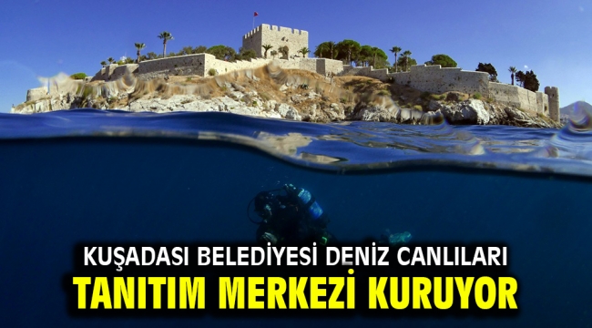 KUŞADASI BELEDİYESİ DENİZ CANLILARI TANITIM MERKEZİ KURUYOR