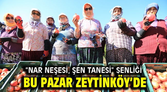 "Nar Neşesi, Şen Tanesi" şenliği bu pazar Zeytinköy'de 