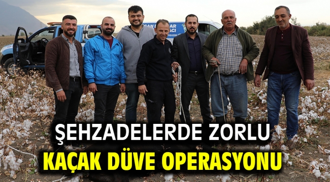 ŞEHZADELERDE ZORLU KAÇAK DÜVE OPERASYONU