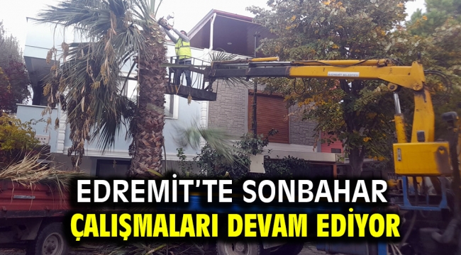 EDREMİT'TE SONBAHAR ÇALIŞMALARI DEVAM EDİYOR